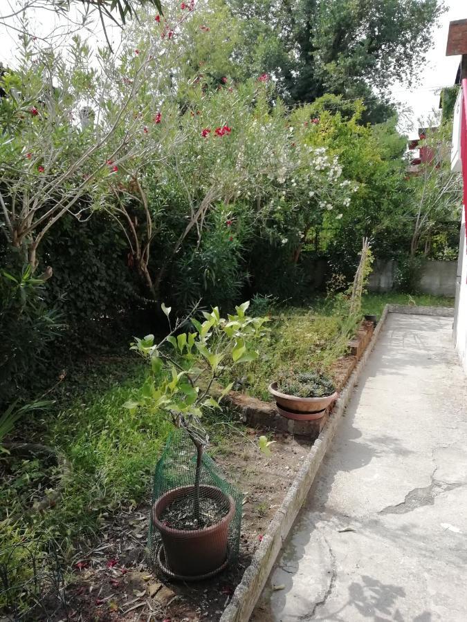 Casa Vacanze Mare Lido di Scacchi Εξωτερικό φωτογραφία