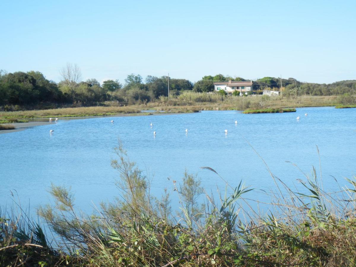 Casa Vacanze Mare Lido di Scacchi Εξωτερικό φωτογραφία